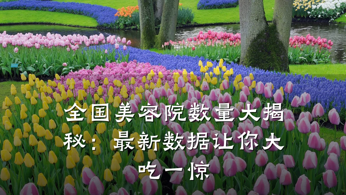 全国美容院数量大揭秘:最新数据让你大吃一惊