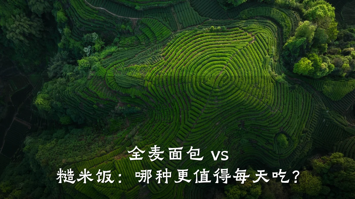 全麦面包 vs 糙米饭:哪种更值得每天吃?