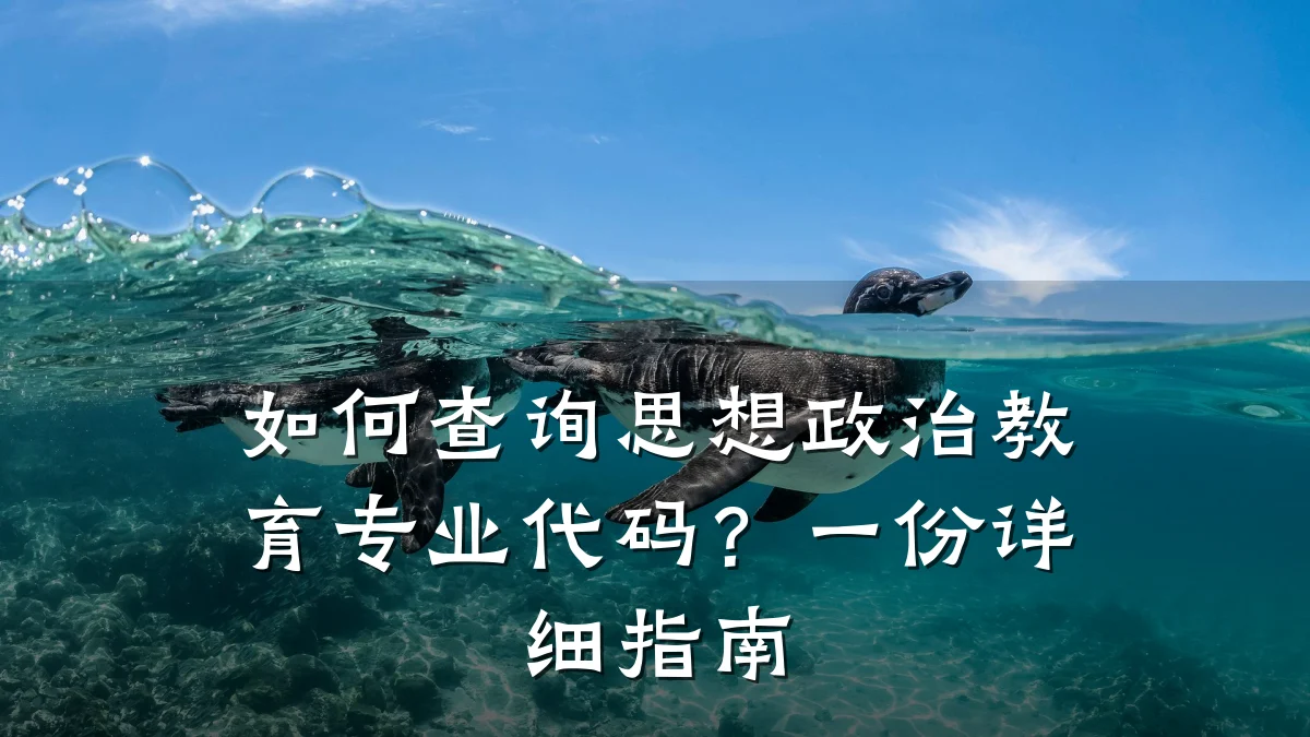 如何查询思想政治教育专业代码?一份详细指南