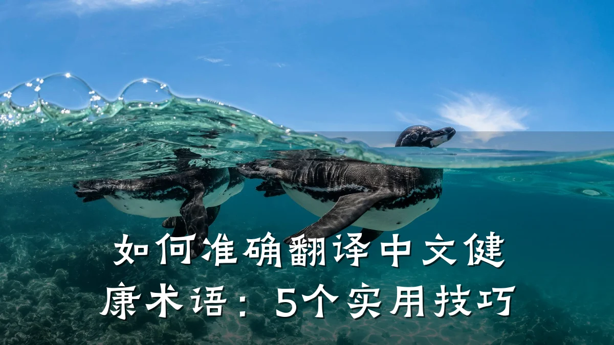 如何准确翻译中文健康术语:5个实用技巧