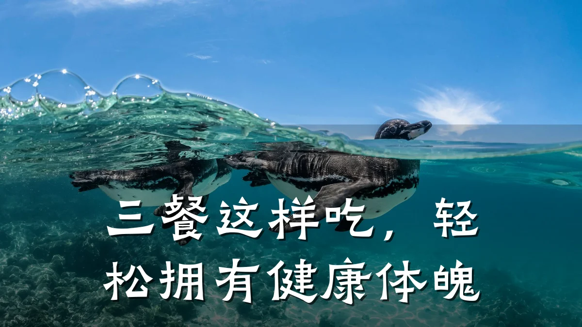 三餐这样吃,轻松拥有健康体魄
