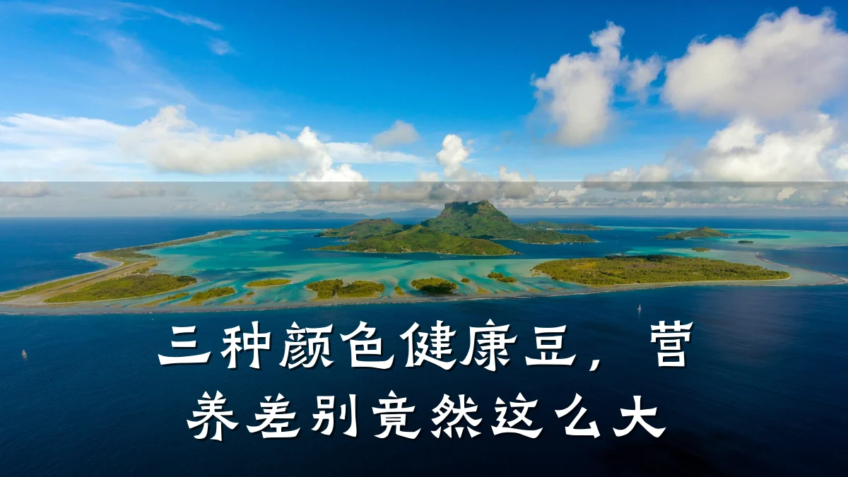 三种颜色健康豆,营养差别竟然这么大