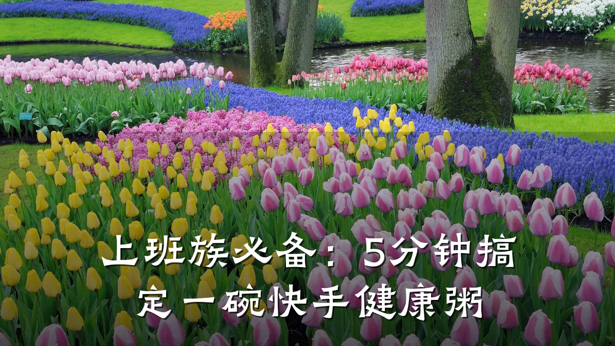 上班族必备:5分钟搞定一碗快手健康粥