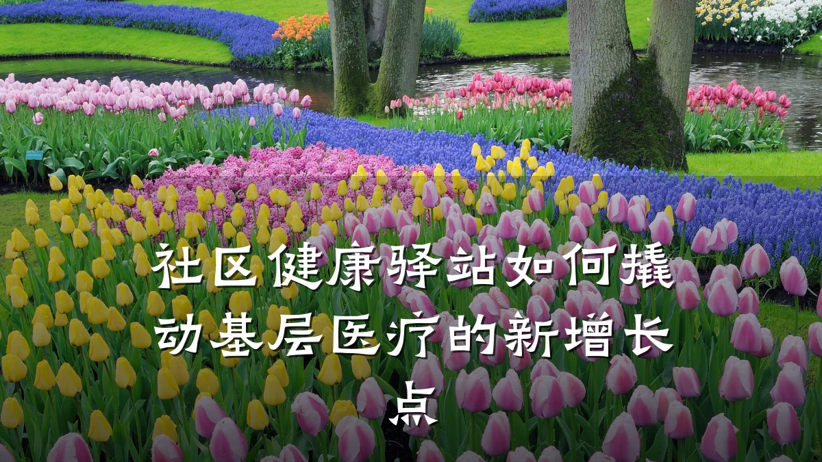 社区健康驿站如何撬动基层医疗的新增长点