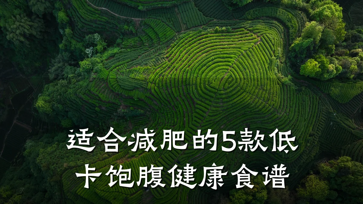 适合减肥的5款低卡饱腹健康食谱