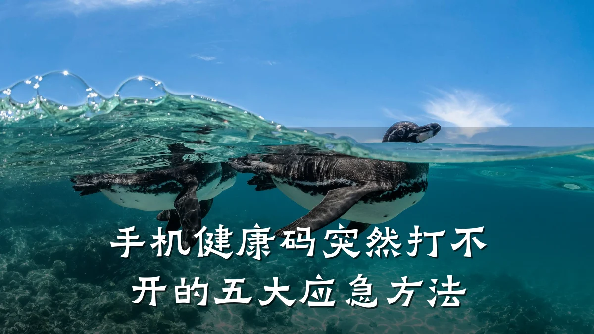 手机健康码突然打不开的五大应急方法