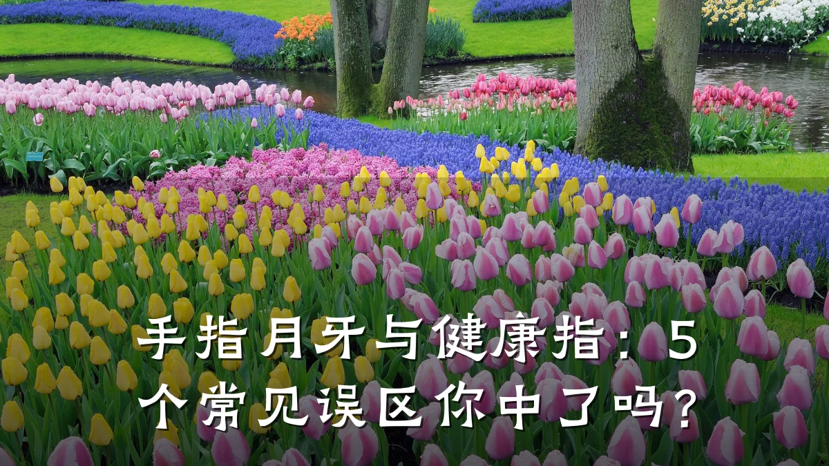 手指月牙与健康指:5个常见误区你中了吗?