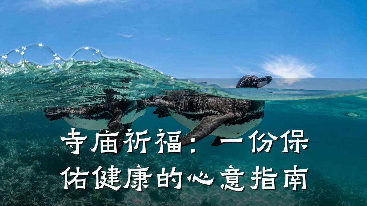 寺庙祈福:一份保佑健康的心意指南