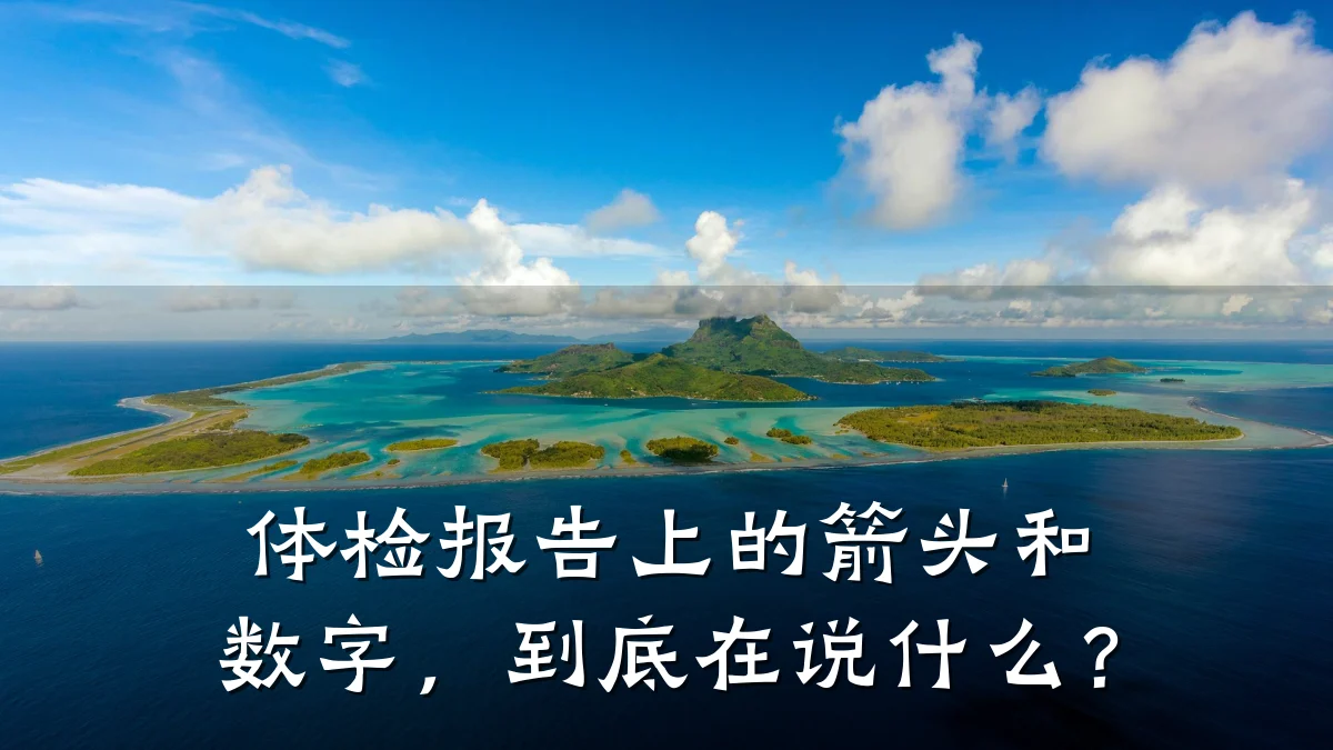 体检报告上的箭头和数字,到底在说什么?