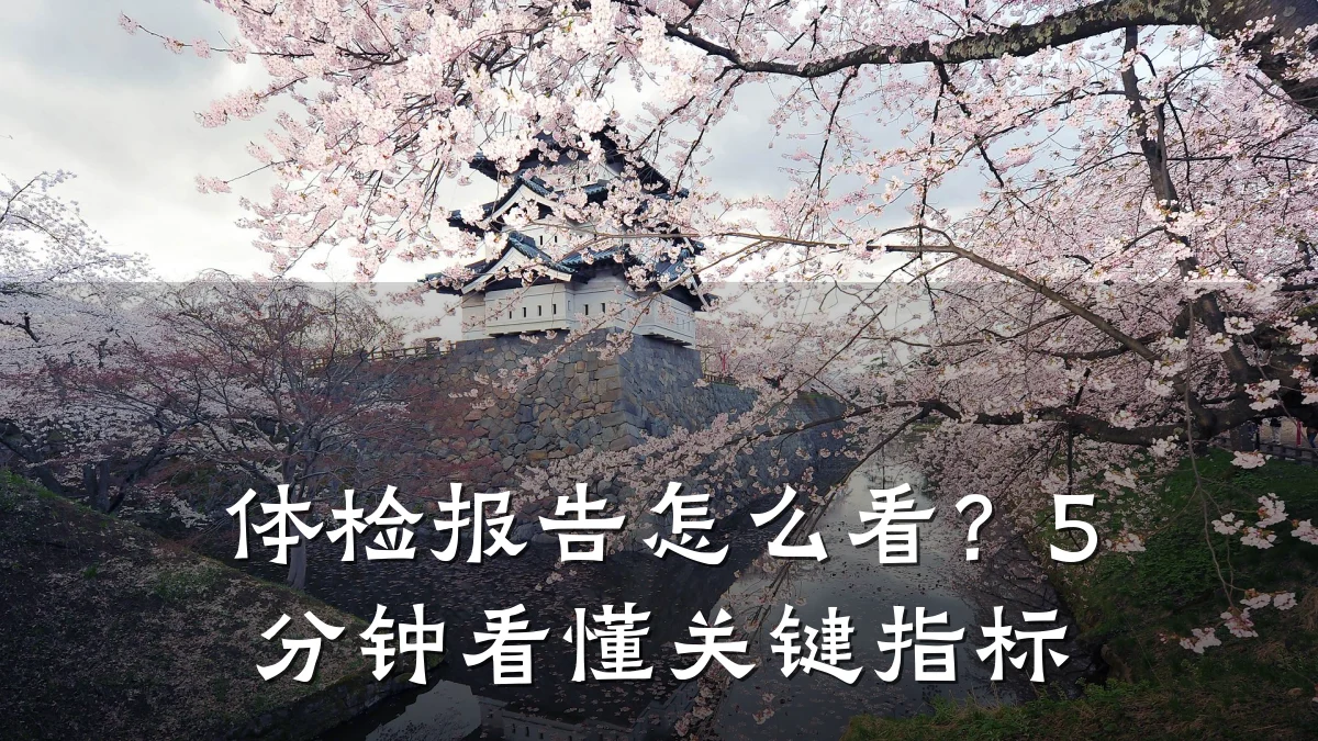体检报告怎么看?5分钟看懂关键指标