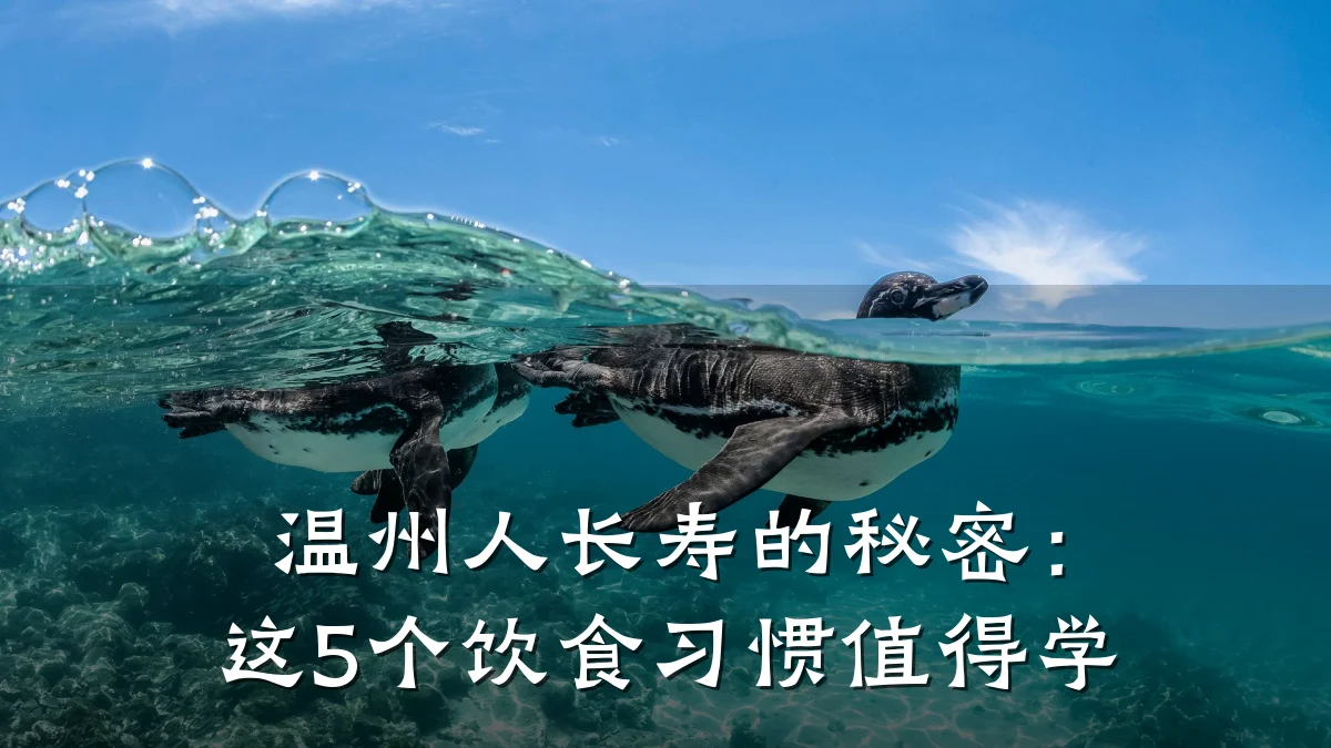 温州人长寿的秘密:这5个饮食习惯值得学