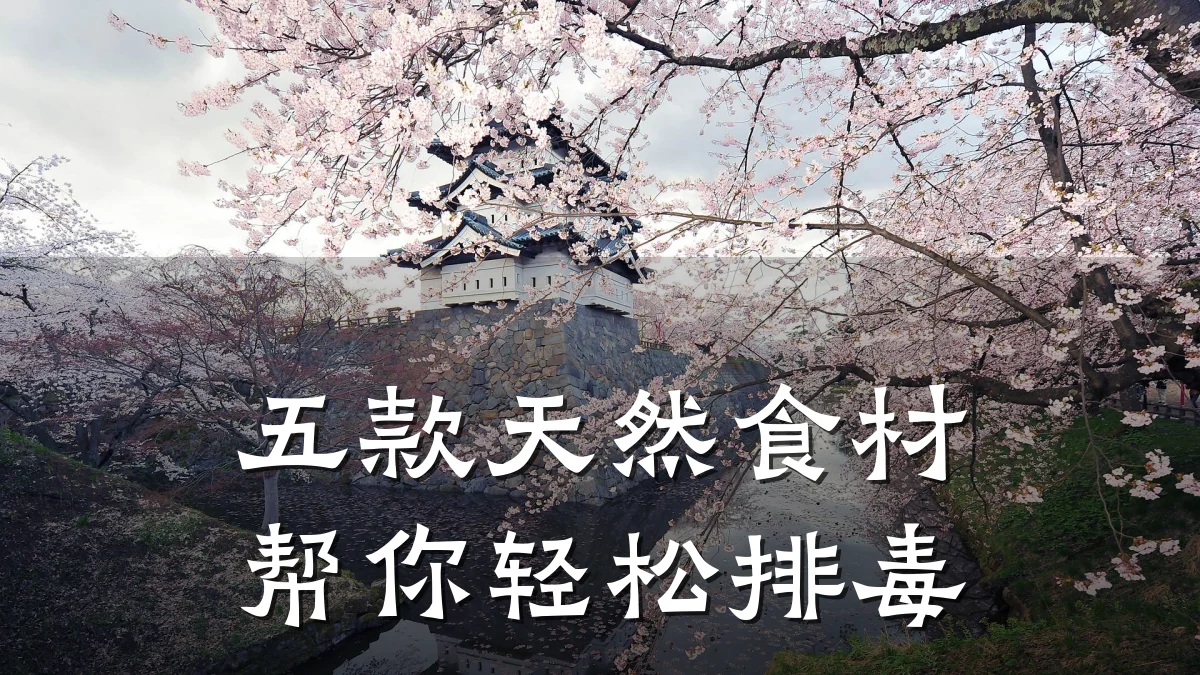五款天然食材帮你轻松排毒