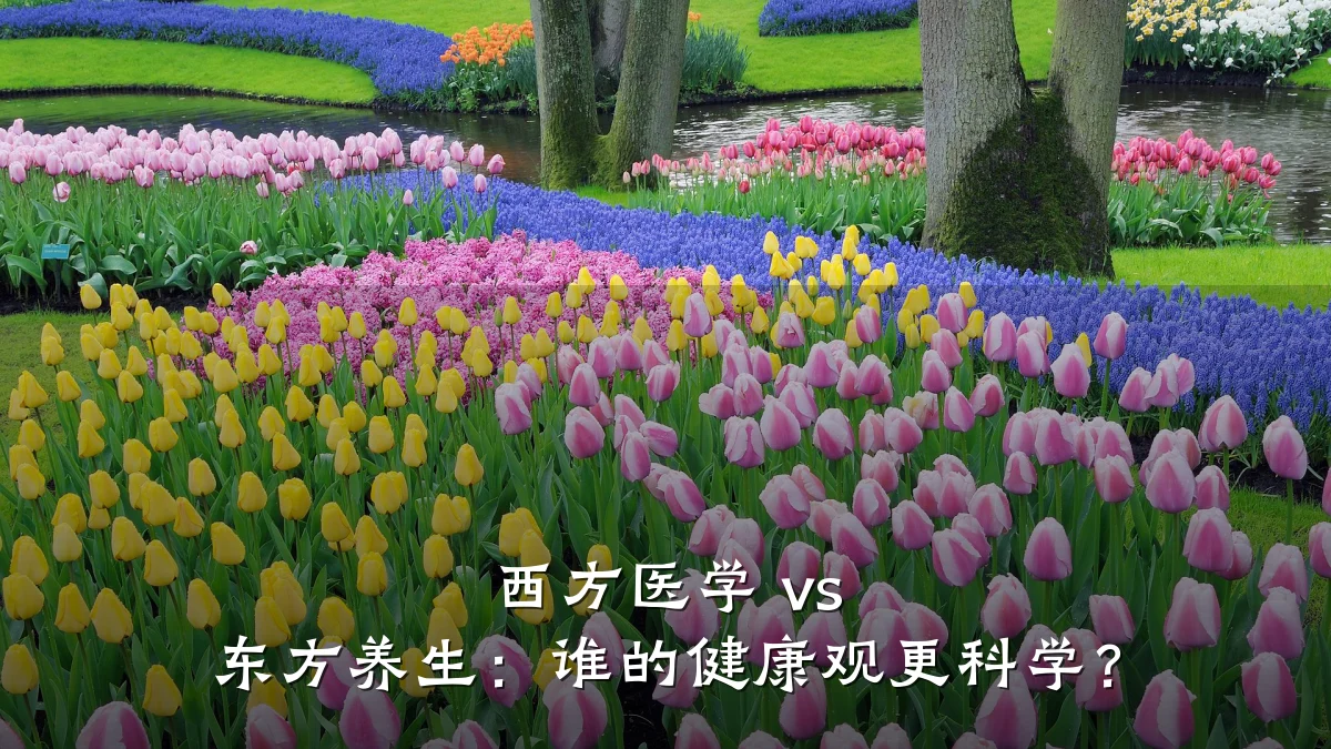 西方医学 vs 东方养生:谁的健康观更科学?