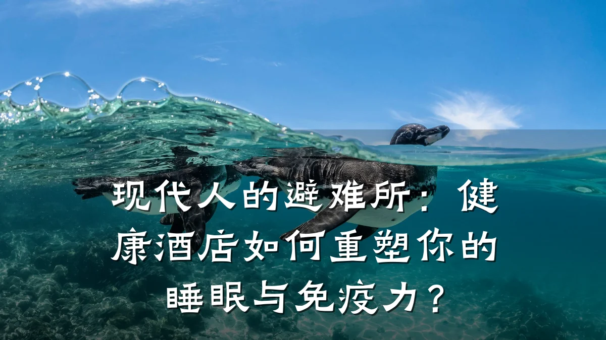 现代人的避难所:健康酒店如何重塑你的睡眠与免疫力?