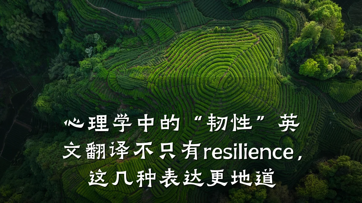心理学中的“韧性”英文翻译不只有resilience,这几种表达更地道