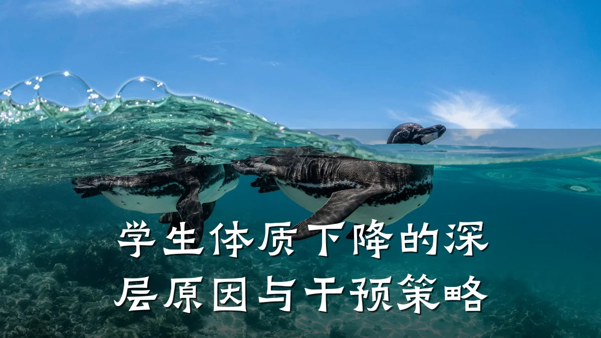 学生体质下降的深层原因与干预策略