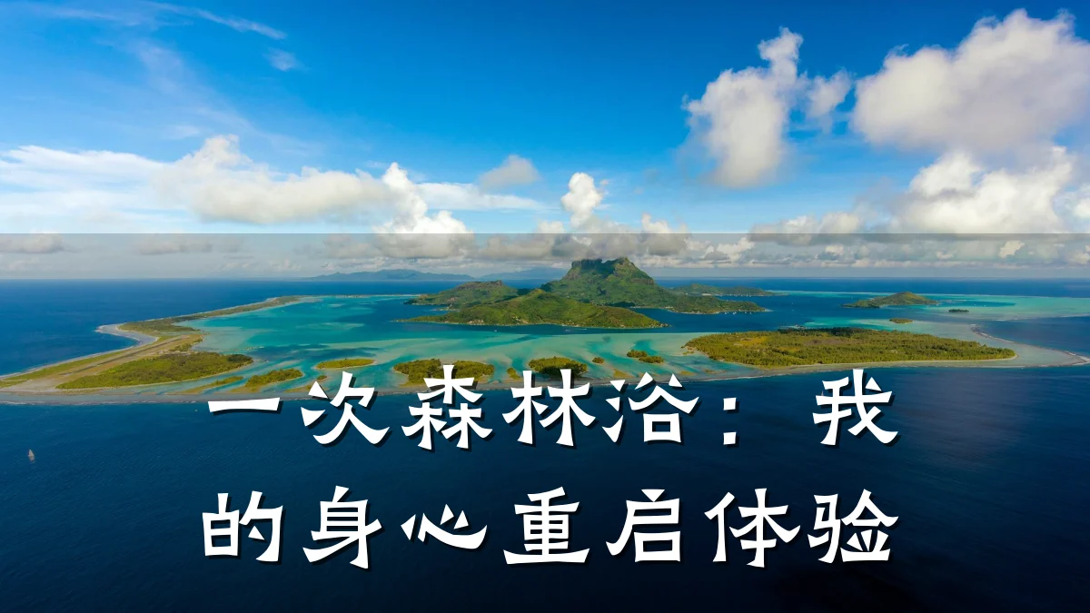 一次森林浴:我的身心重启体验