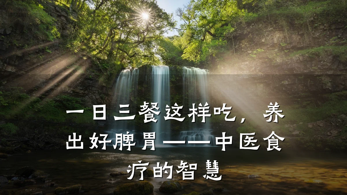 一日三餐这样吃,养出好脾胃——中医食疗的智慧