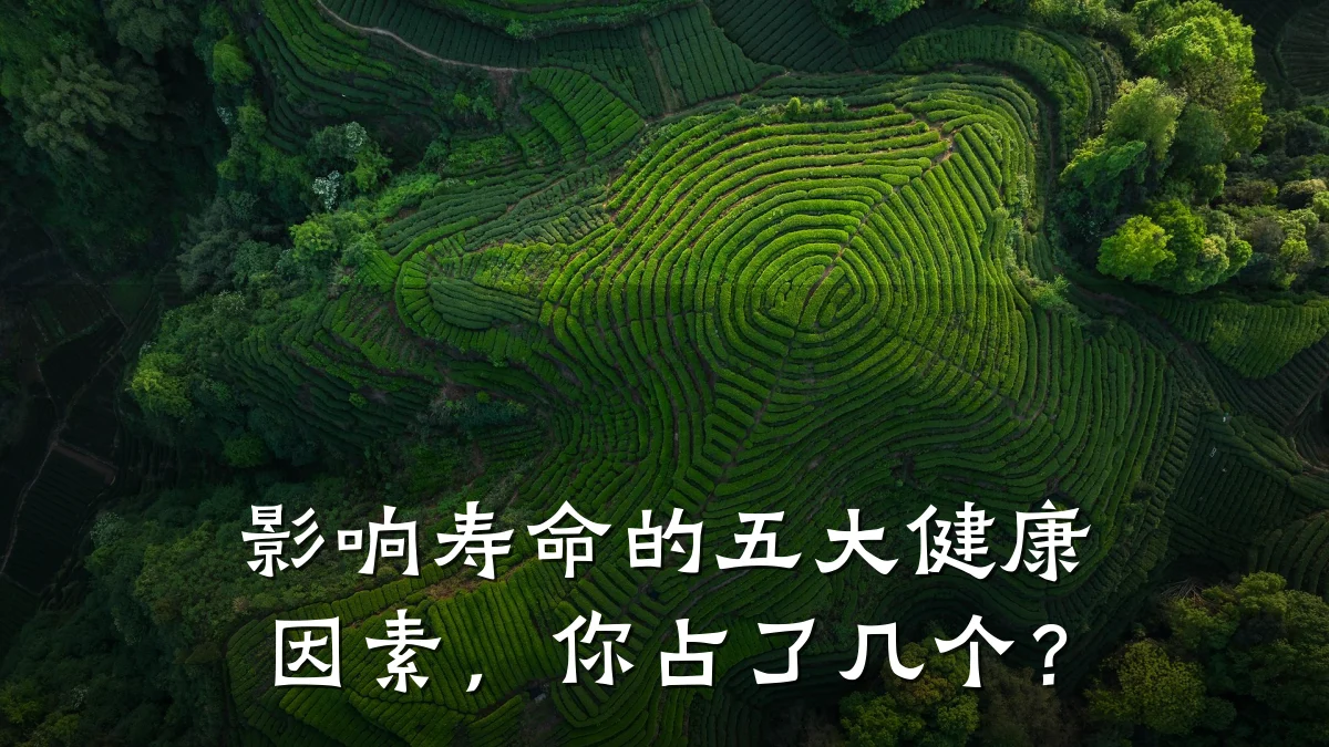 影响寿命的五大健康因素,你占了几个?