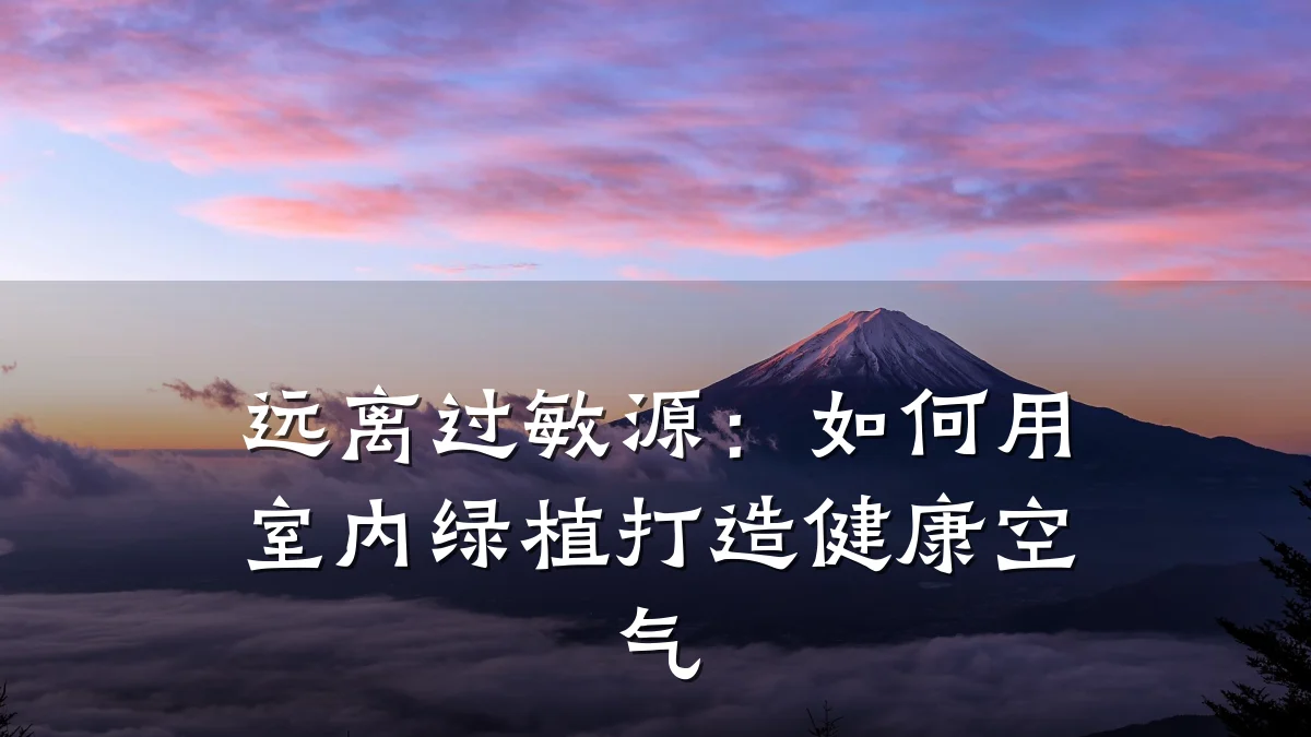 远离过敏源:如何用室内绿植打造健康空气