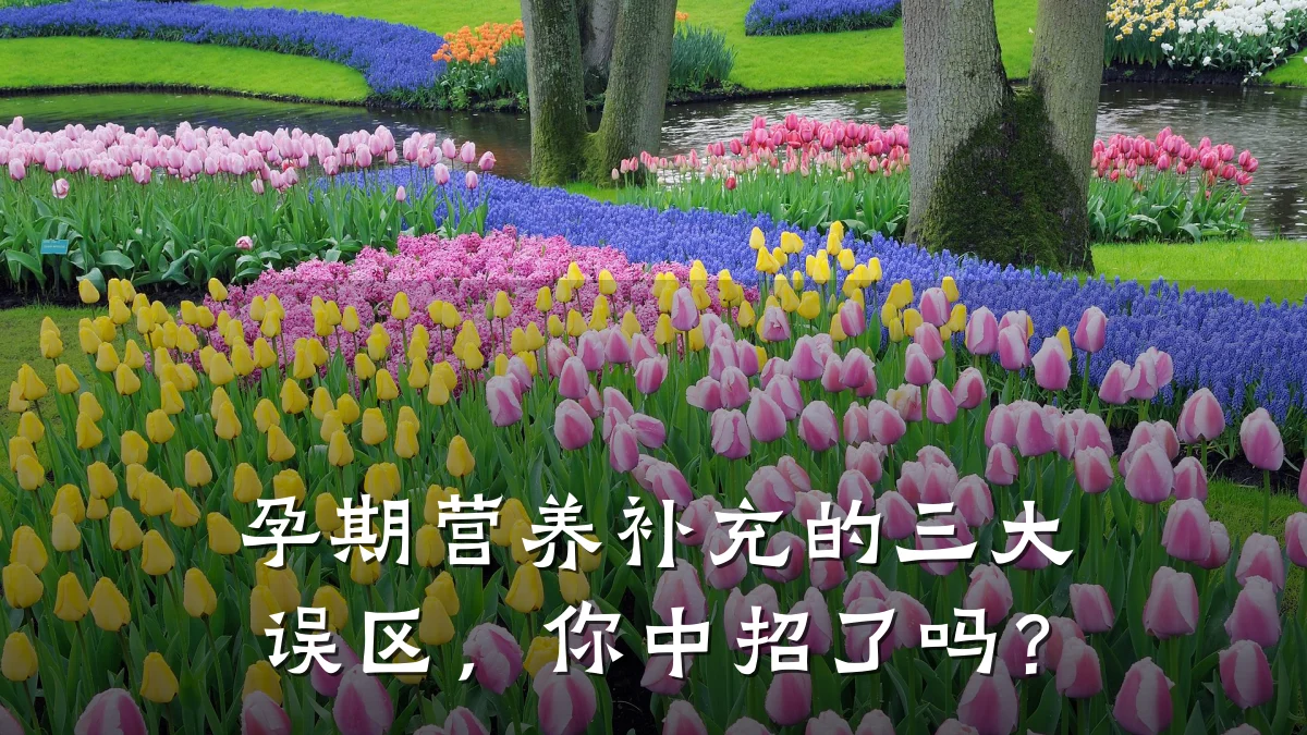 孕期营养补充的三大误区,你中招了吗?