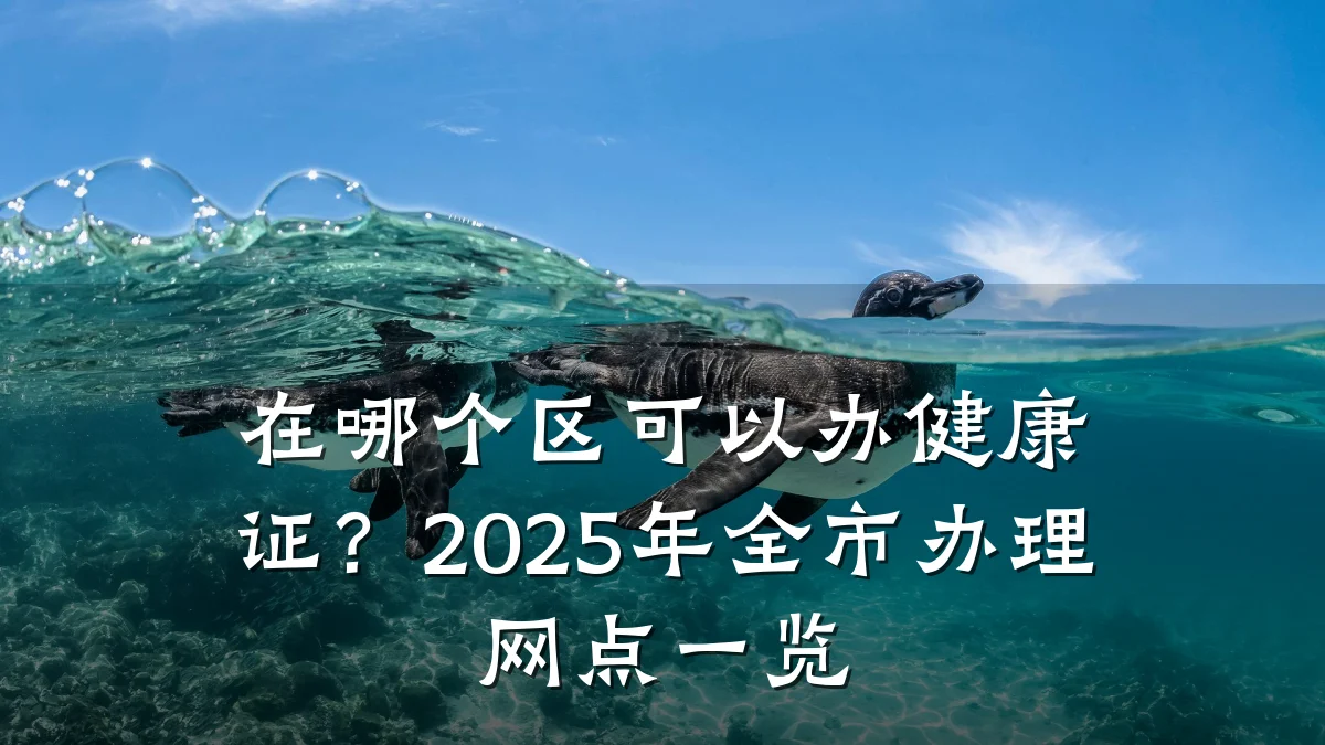 在哪个区可以办健康证?2025年全市办理网点一览