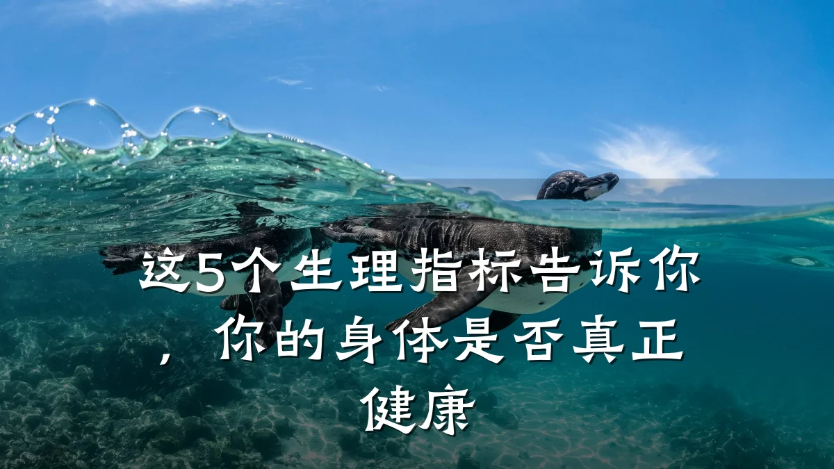 这5个生理指标告诉你,你的身体是否真正健康