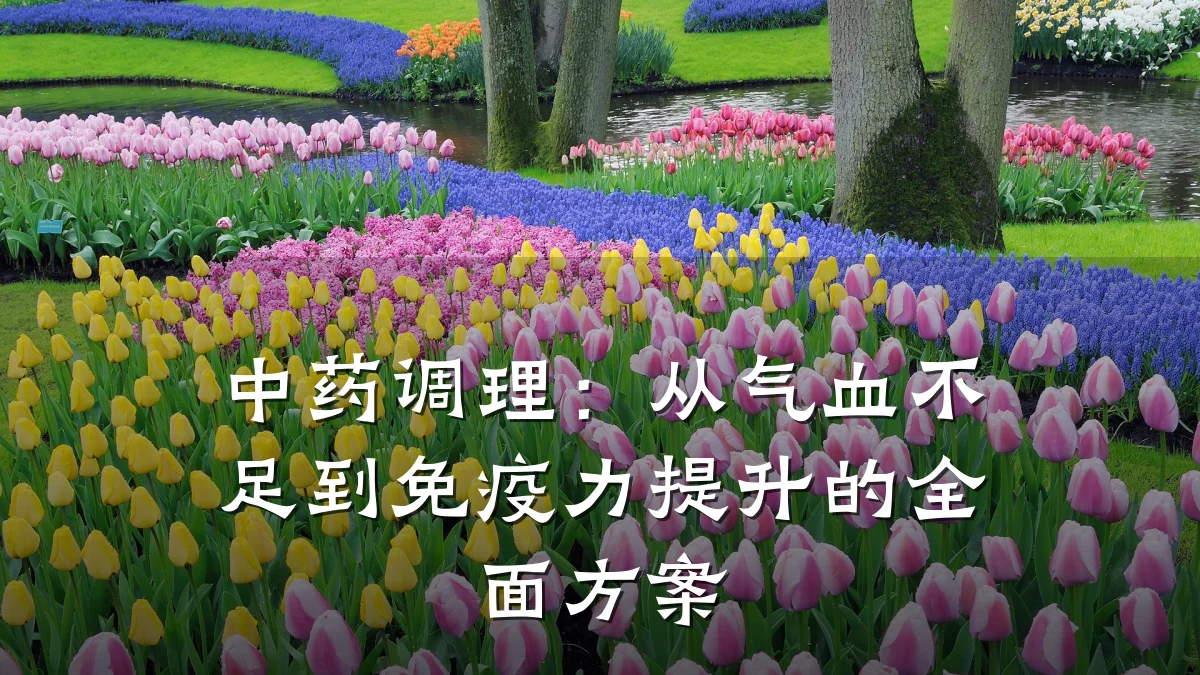 中药调理:从气血不足到免疫力提升的全面方案