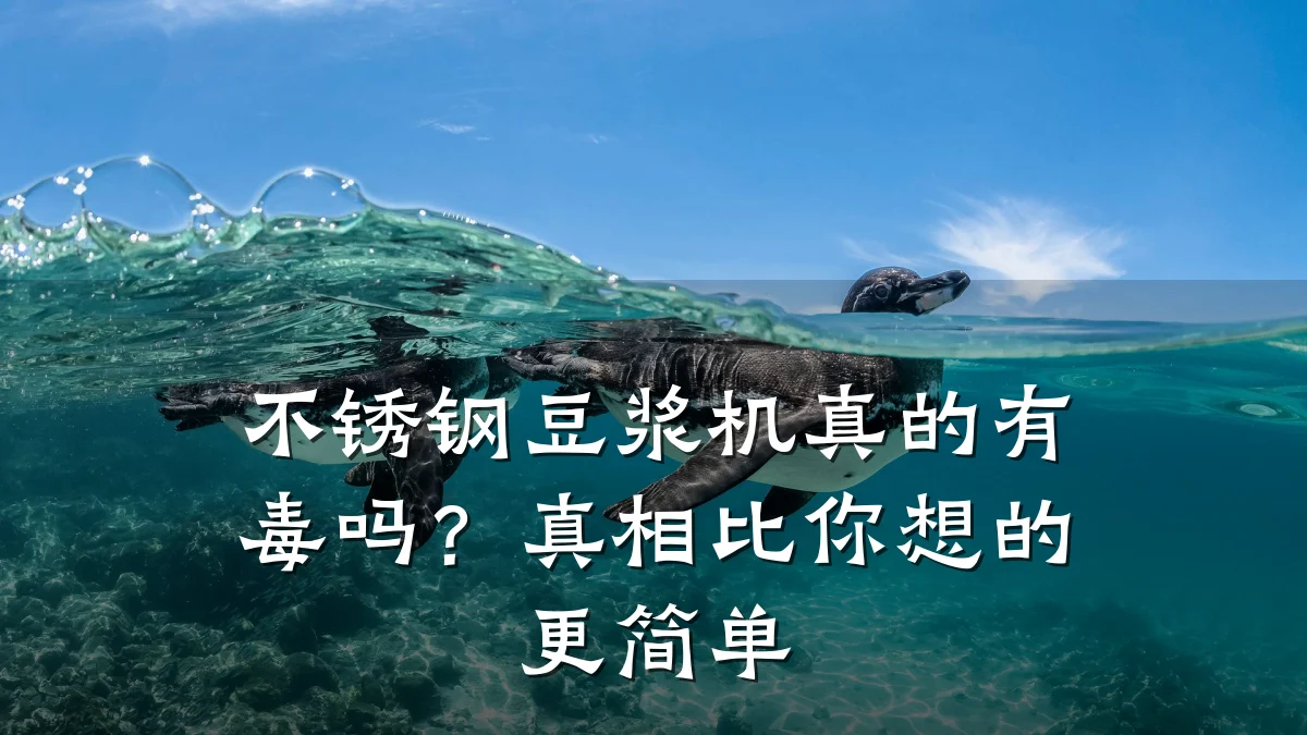 不锈钢豆浆机真的有毒吗?真相比你想的更简单