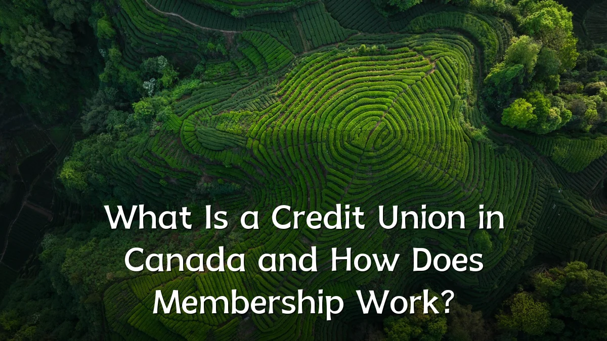 What Is a Credit Union in Canada and How Does Membership Work?
