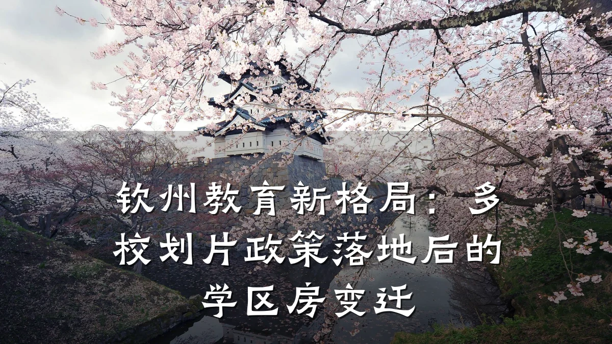 钦州教育新格局：多校划片政策落地后的学区房变迁