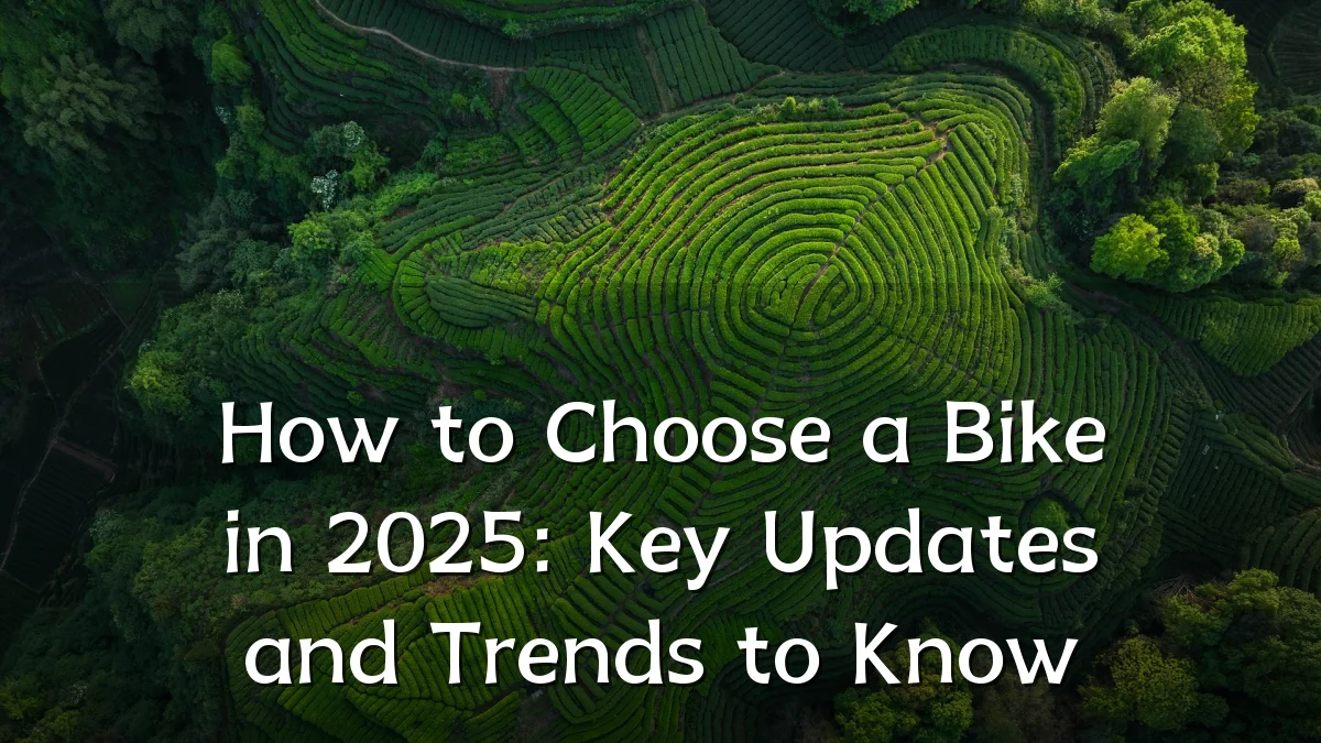 How to Choose a Bike in 2025: Key Updates and Trends to Know